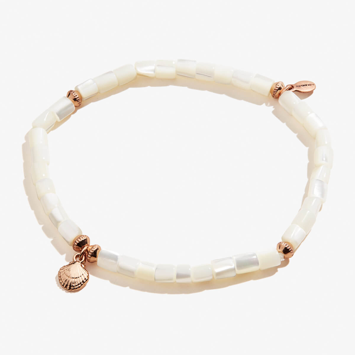 Scallop Shell Stretch Anklet