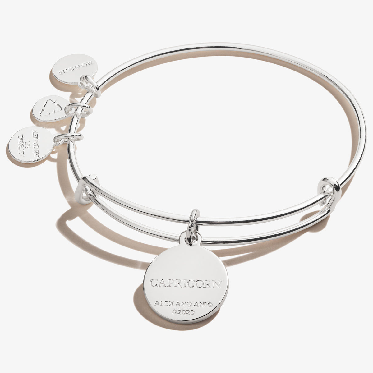 Capricorn Zodiac Charm Bangle, Color