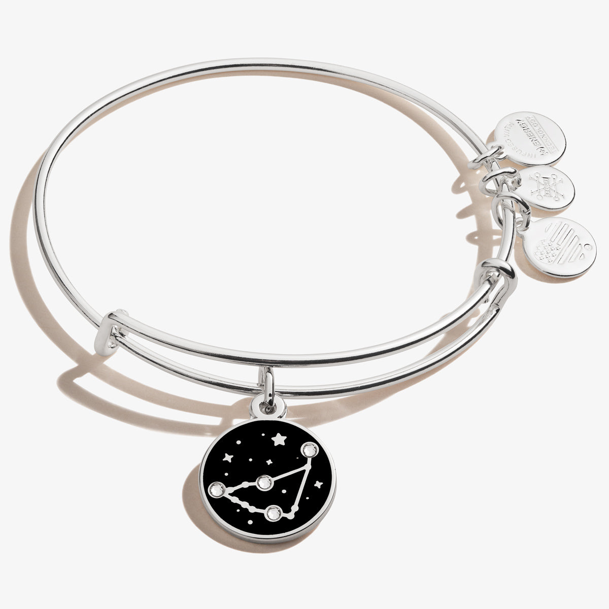 Capricorn Zodiac Charm Bangle, Color