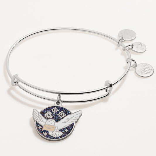 Harry Potterâ„?Messenger Owl Charm Bangle