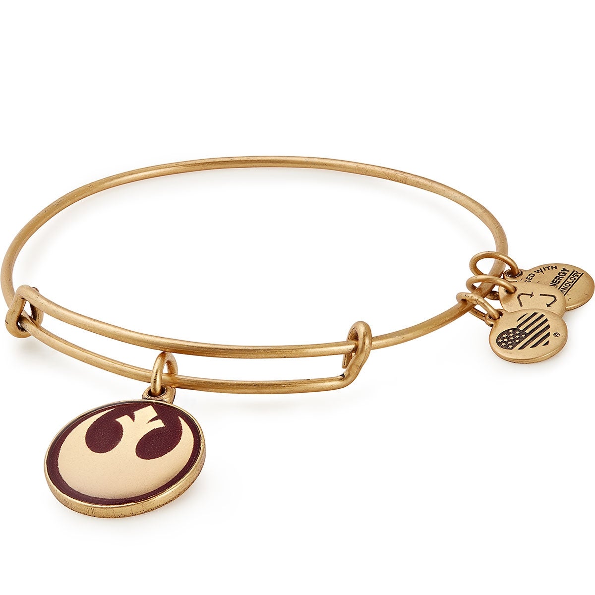 Star Warsâ„?Rebellion Charm Bangle