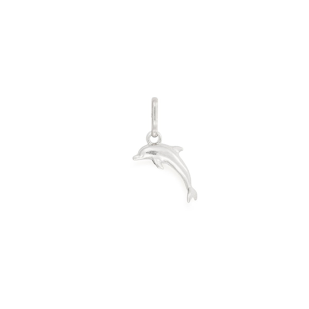 Dolphin Charm